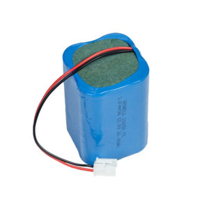 Lithium Iron Phosphate (LiFePo4) Battery