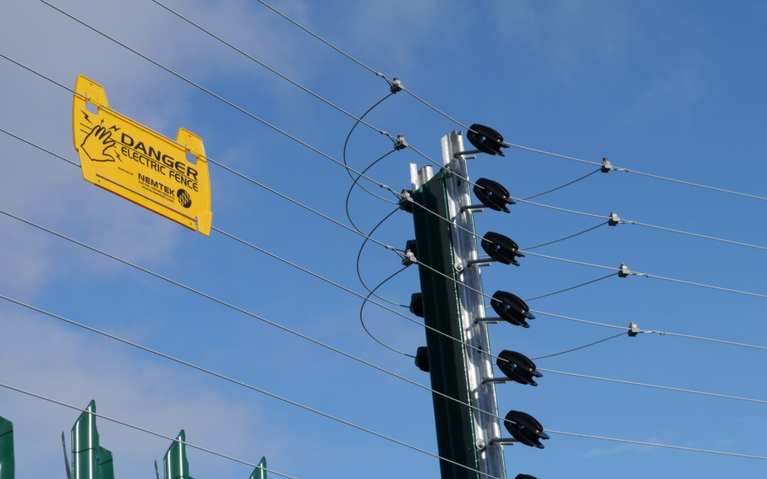 Energizers for Electric Fences
